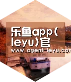 乐鱼体育链接中德合璧 实力可鉴