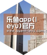 乐鱼体育链接全球战略 立体推广