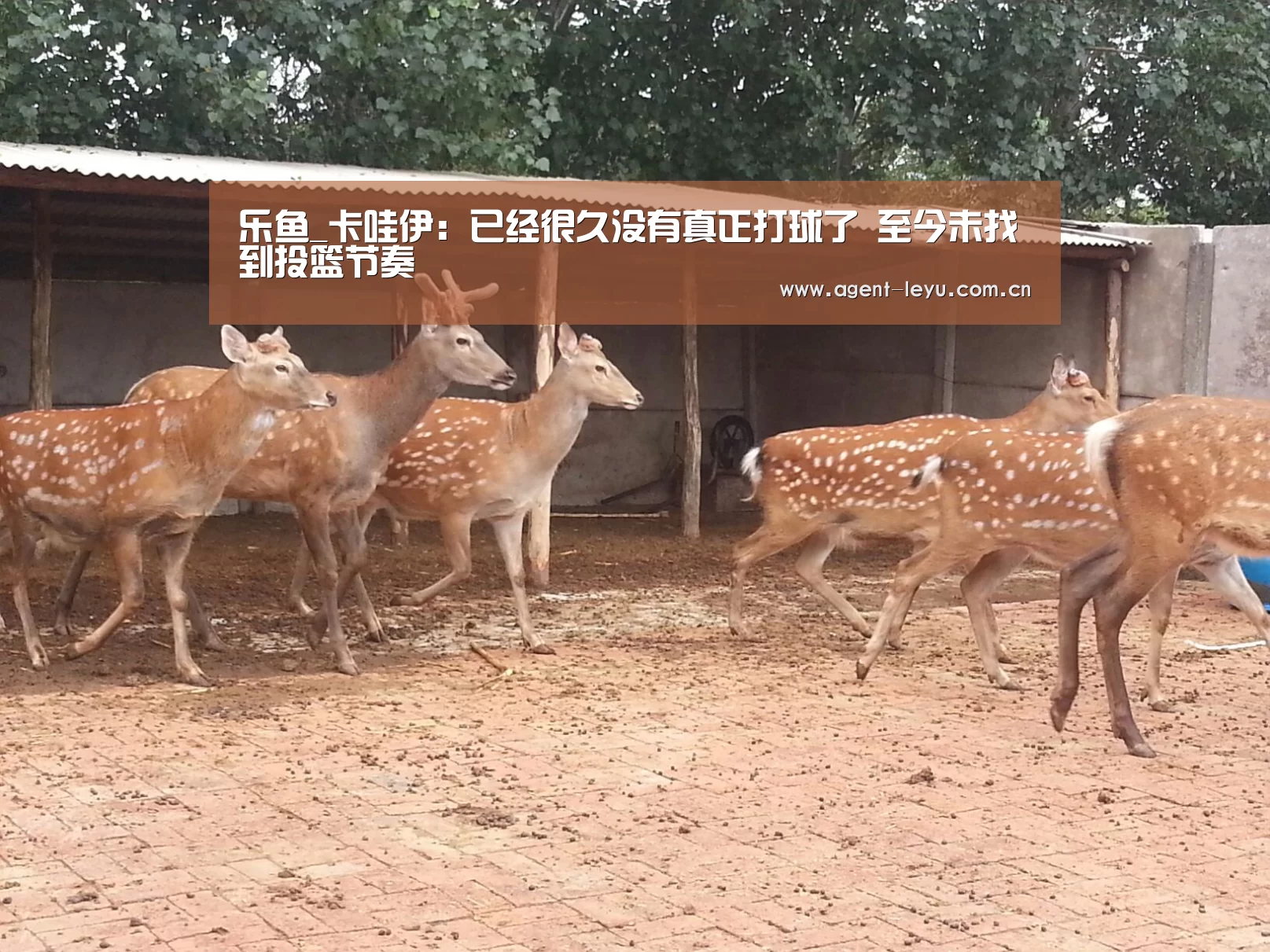 乐鱼_卡哇伊:已经很久没有真正打球了 至今未找到投篮节奏(图4) 乐鱼