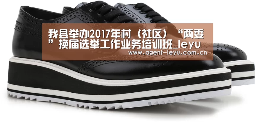 我县举办2017年村（社区）“两委”换届选举工作业务培训班_leyu