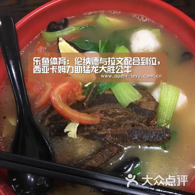 乐鱼体育:伦纳德与拉文配合到位,西亚卡姆力助猛龙大胜公牛(图3) 乐鱼体育链接