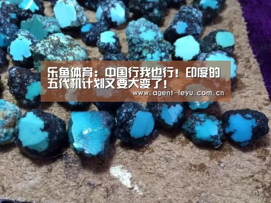 乐鱼
