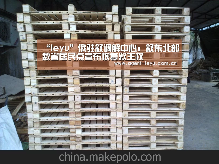 “leyu”俄驻叙调解中心:叙东北部数省居民点宣布恢复叙主权(图3) 乐鱼