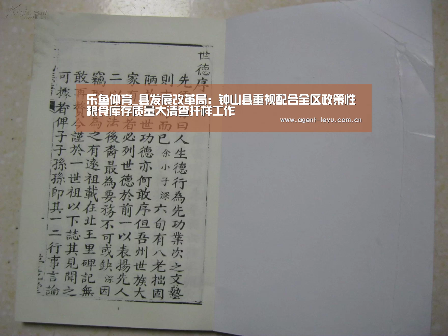 乐鱼体育_县发展改革局：钟山县重视配合全区政策性粮食库存质量大清查扦样工作