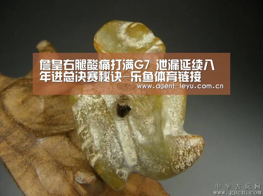 詹皇右腿酸痛打满G7 泄漏延续八年进总决赛秘诀-乐鱼体育链接