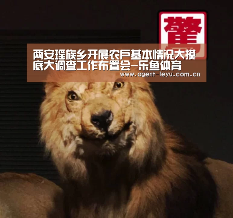 两安瑶族乡开展农户基本情况大摸底大调查工作布置会-乐鱼体育(图2) 乐鱼