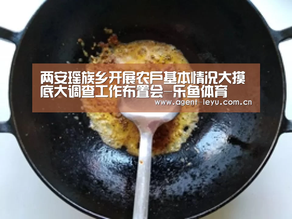 两安瑶族乡开展农户基本情况大摸底大调查工作布置会-乐鱼体育(图3) 乐鱼体育链接