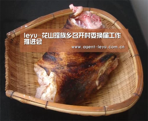 乐鱼体育