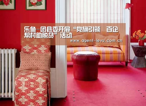 乐鱼-团县委开展“党旗引领•百企帮村助脱贫”活动