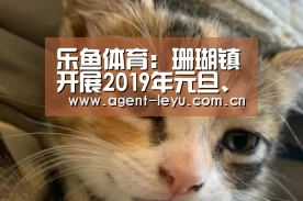 乐鱼体育：珊瑚镇开展2019年元旦、春节计划生育流动人口留守老人、妇女、儿童慰问活动(图2)