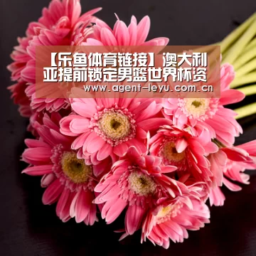 【乐鱼体育链接】澳大利亚提前锁定男篮世界杯资格